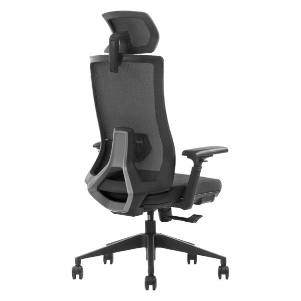 SKILLCHAIRS Ergo Stella SKILLCHAIRS Ergo Stella